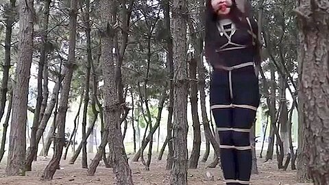 Asian damsel tied to a tree...