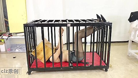 Asian Girl Caged And Box Hooded...